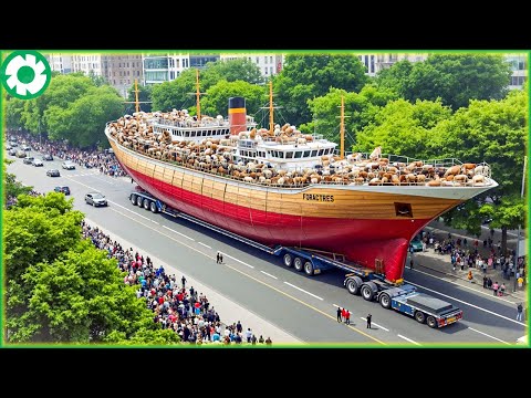 Transporting 9.9 Million Cows by Train This Way - Biggest Heavy Equipment Machines | Heavy Machinery
