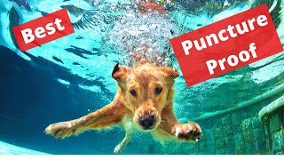 5 Best Puncture Proof Dog Pools for your Dog | Which one would be best for you?