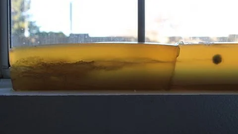 .357 mag carbine gel test: American Eagle 158 gr  JSP