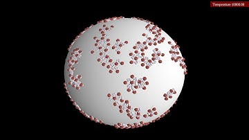 Four-armed "hydra" molecules on a sphere