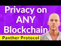 Panther protocol zeroknowledge privacy on any blockchain  oliver gale