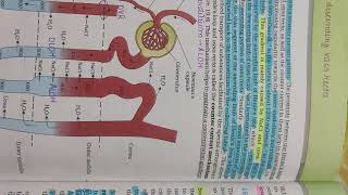Only 5 days left for re neet!!!! 5 days Strategy #neet #reneet