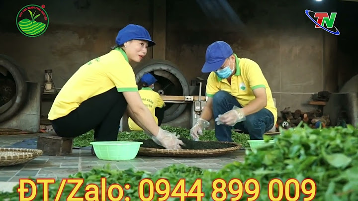 Trà Hoa Nhài: Thơm Ngon, Hảo Hạng, Bổ Dưỡng