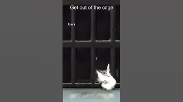 Liquid Metal Robot Escapes From a Cage Like Terminator