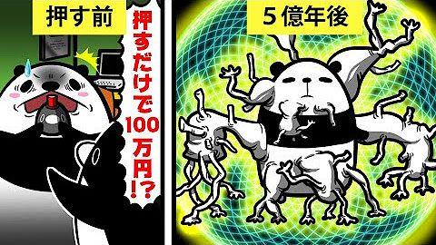 テイコウペンギン Youtube