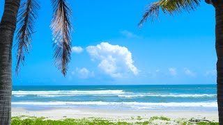 Ocean Meditation  Calm Sea and Soothing Ocean Waves Sounds on Tropical Beach