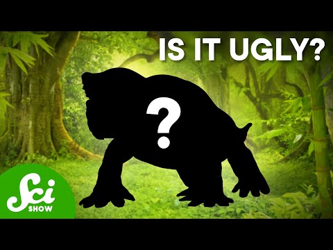 This One Ugly Animal Tells The Whole Story Of The Great Dying (ft. Emily Graslie!) thumbnail