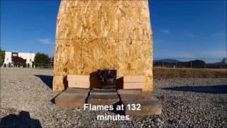 How a cigarette ignites potting soil