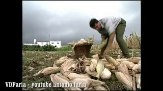 Ilha do Pico, Açores