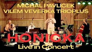 Michal Pavlíček & Vilém Veverka TRIOplus | Honička | Live in Borotín | August 2026