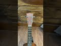 Kesper Ukulele #guitar #ukulele #ukulelecover #shorts #kesper