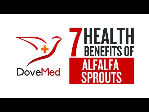 7 Health Benefits Of Alfalfa Sprouts