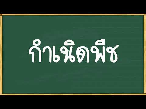 วีดีโอ: วิวัฒนาการของพืชเป็นอย่างไร