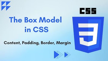 Box Model in CSS | CSS Tutorial #11