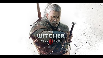 The Witcher 3 (MacBook Pro 14" M1 Pro 8C) Running on GPTK 1.0.2 + MacOS 14.0 Beta 3