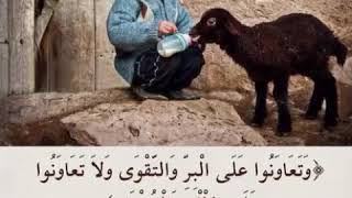 ﴿ وتعاونوا على البر والتقوى ولا تعاونوا على الاثم والعدوان﴾ أحمد العجمي Ahmad Alajmy