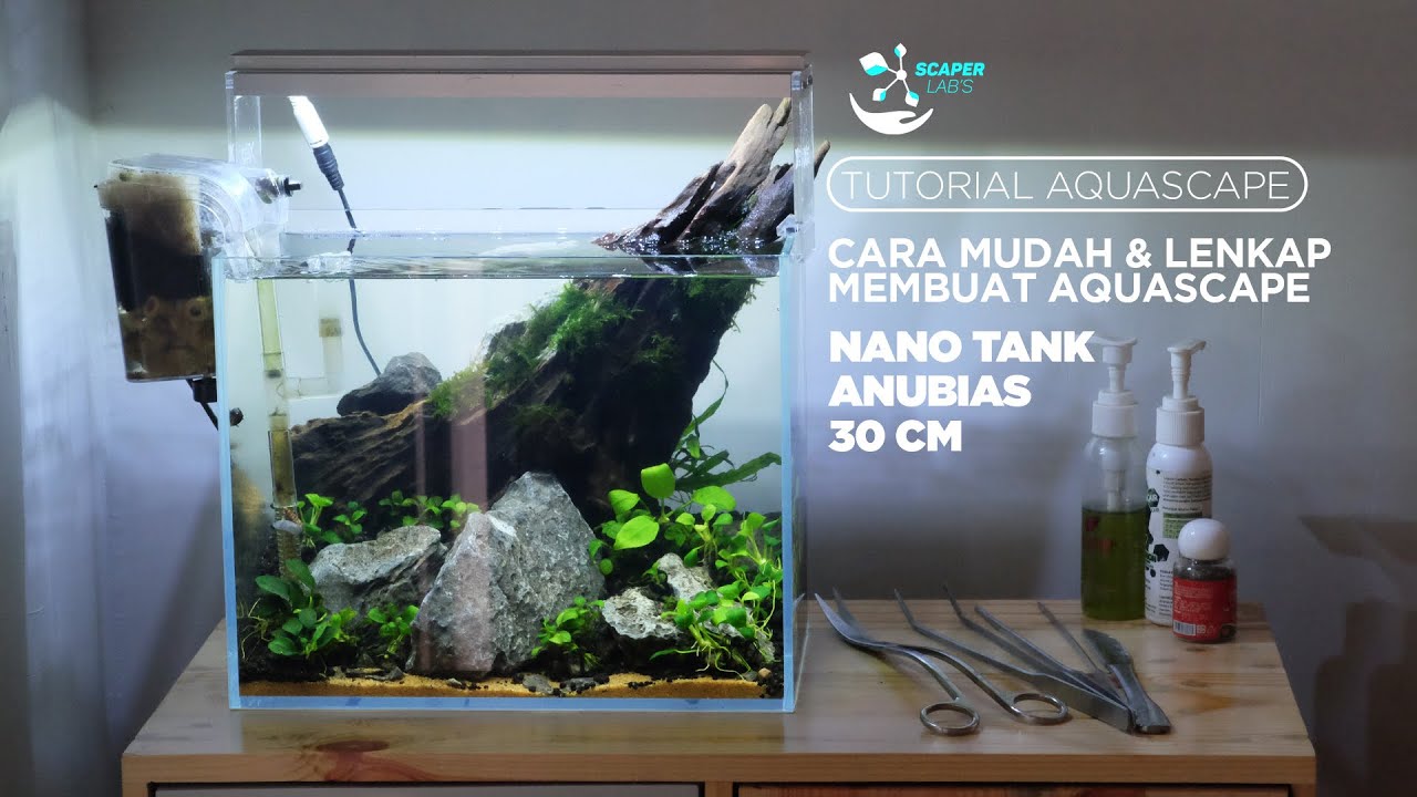 Cara Mudah Membuat Aquascape Nano Tank Anubias Tutorial Aquascape 1 Youtube Cara membuat aquascape nano tank Cara Mudah Membuat Aquascape Nano Tank Anubias Tutorial Aquascape 1 Youtube Cara membuat aquascape nano tank