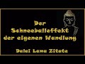 19+ Selbstliebe Zitate Buddha