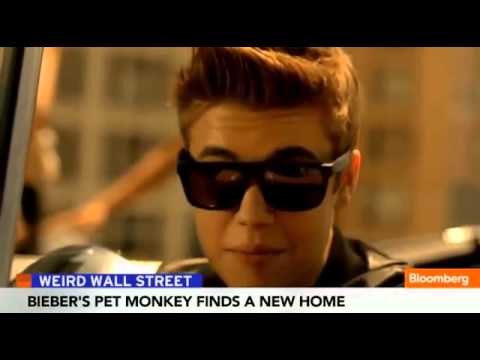 Justin Bieber's Pet Monkey Seized by German Customs