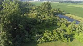 Realty video