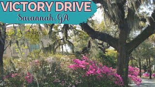 Victory Drive in Savannah, Georgia