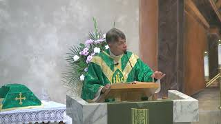 Sunday Homily September 27, 2026