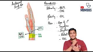 Anatomical Snuff Box & Extensor Retinaculum | Upper Limb Anatomy Made Easy | Dr Azam