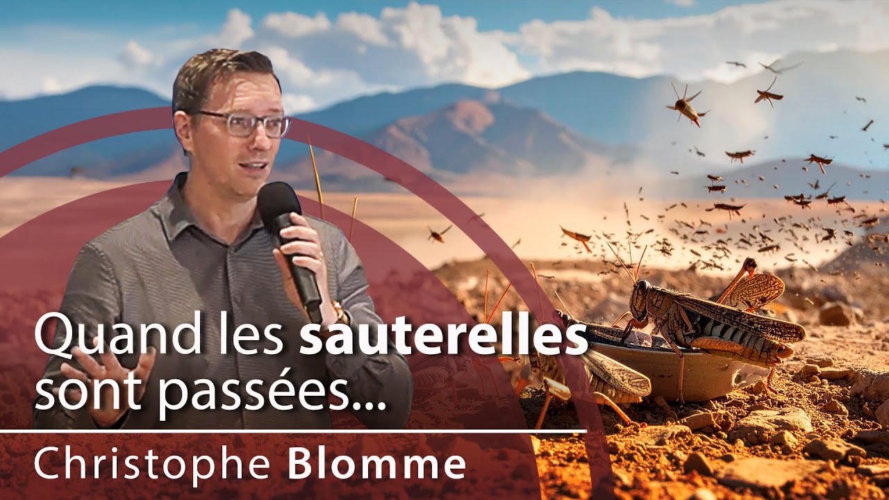 Quand les sauterelles sont passées... | Christophe Blomme