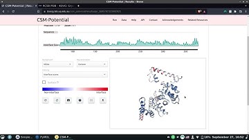 PPI binding site prediction using CSM-Potential