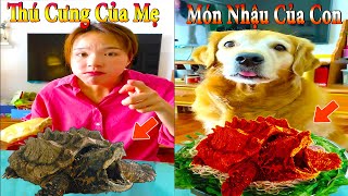 Thú Cưng TV | Dương KC Pets | Gâu Đần và Bà Mẹ #6 | Chó Golden thông minh vui nhộn | funny cute dog