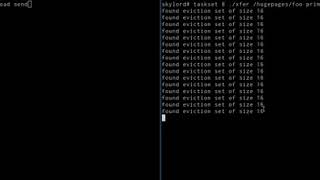 PRIME + PROBE (text)