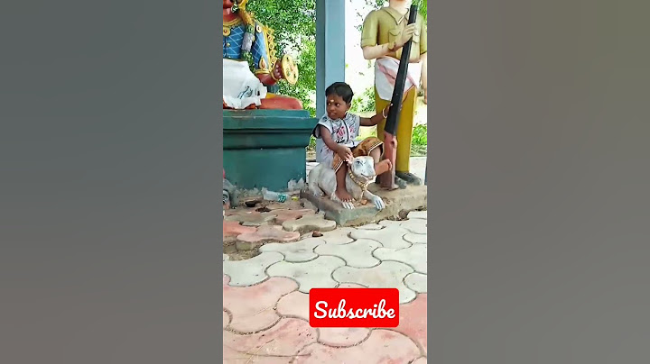 🌀🌀 பிறந்த நாள் வாழ்த்து தெரிவித்த அனைவருக்கும் நன்றி 🙏🙏🙏