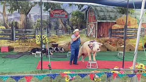 Kentucky State Fair PorkChop Review Show 2022