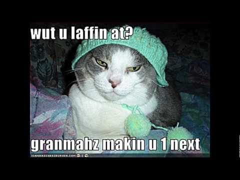 cutie-cats-and-funny-kittens-(quotes-aswell):)
