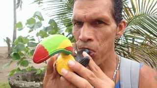Ocarina, Costa Ricas National Flute Ocarina, Costa Ricas National Flute