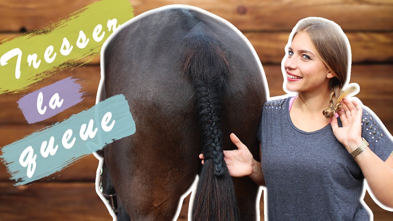 TRESSER LA QUEUE D'UN CHEVAL 🎀 - YouTube