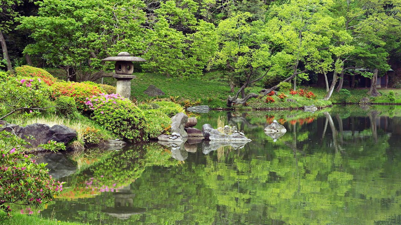 4k Ultra Hd 東京の日本庭園 Japanese Gardens In Tokyo Shot On Red Epic Youtube