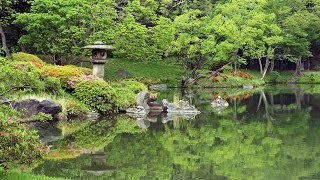 4k Ultra Hd 東京の日本庭園 Japanese Gardens In Tokyo Shot On Red Epic Youtube