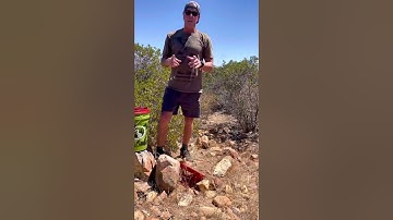 Large Gopher Snake-Sad to see this guy go 😞