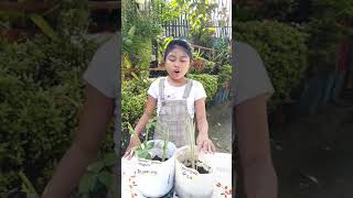 HELE & Math Performance Test 1