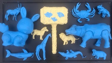 Trò Chơi Các Con Vật | Bộ Đồ Chơi Và Rửa Sạch Các Con Vật | Tìm Tên Các Con Vật | Xem Các Con Vật 01