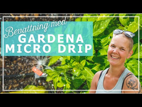 Installerar automatisk bevattning med Gardena Micro-Drip-System