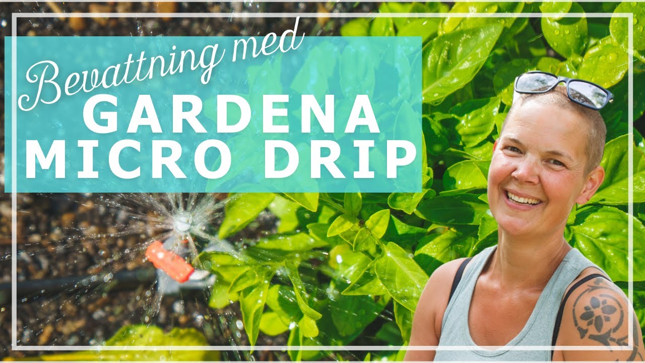 Installerar automatisk bevattning med Gardena Micro-Drip-System
