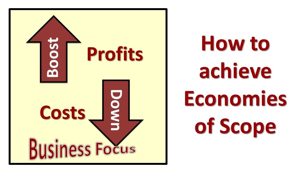 business plan economies of scope