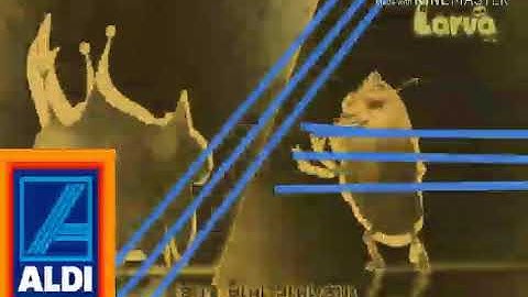 (NEW EFFECT/REQUESTED) Larva Intro in Aldi Major