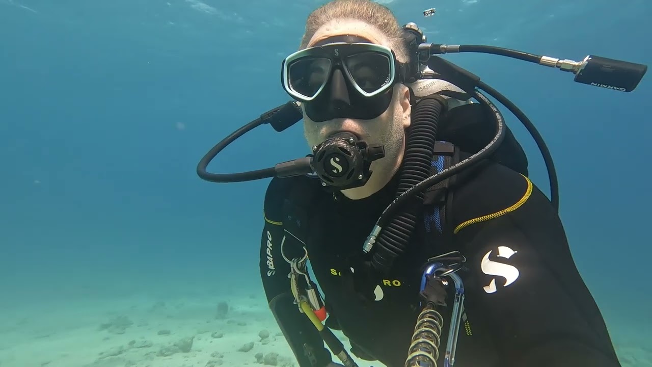 20.2.26 צלילה באילת לסטיל ולסלע משה 