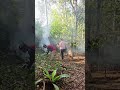 #campfire #camping #asmr #boostyourviews #campinghujanderas