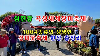 놓치면 후회하는 장미향연이 펼쳐지는 섬진강 곡성세계장미축제 총정리WorldRoseFestival Flower Tour  #전라도여행 #2024곡성세계장미축제 #곡성기차마을