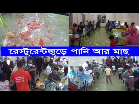 খেতে বসেছেন অথচ আপনার পাঁয়ে কামড় দিচ্ছে মাছ- রেষ্টুরেন্টের মেঝেতে আস্ত পুকুর | Cplus