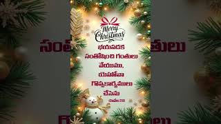 Bible Daily Promise | Bible Verse of the Day | Telugu #Shorts #christmas  #telugubibleverseoftheday